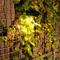 12led Solar Light LED Combination Sink Light